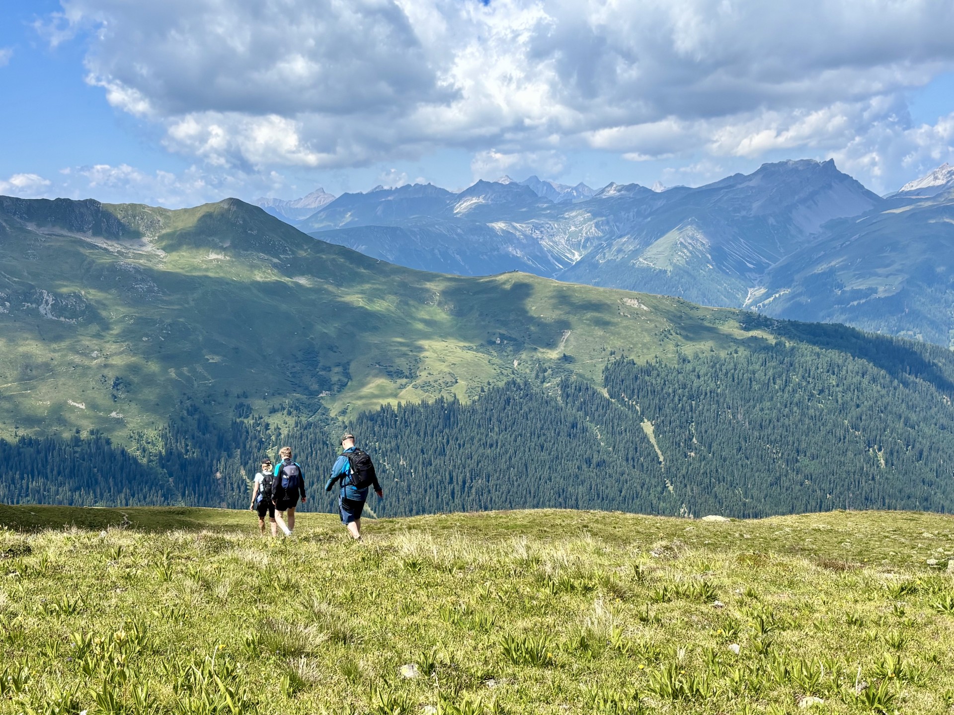 Vandreture i Alperne & Davos X-Trails